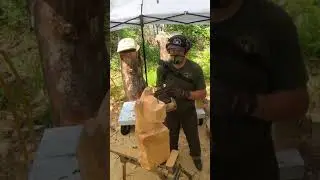 Beginner chainsaw carving tutorials #chainsawcarving #chainsawcarver #chainsaw #carvingtutorial