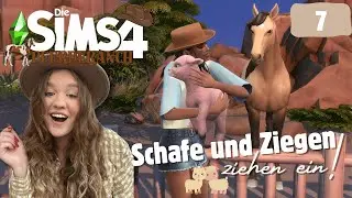 Wir adoptieren endlich Sch&auml;fchen! | Die Sims 4 - Pferderanch / Horseranch Part 7 | gaming_gika