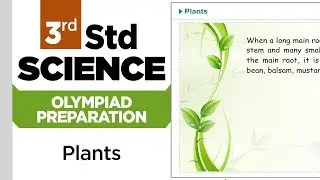 3rd Std Science Olympiad || Plants || Practice || Olympiad Preparation