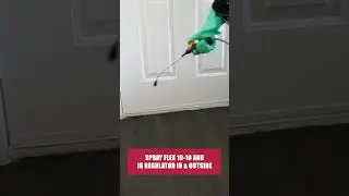 The Quick Guide to Maggots! [Juvenile Flies & Fly Control]