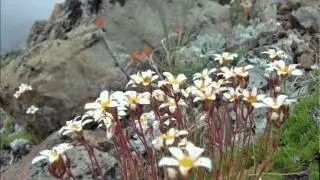 Buckhorn Wilderness, summer 2011