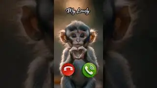 monkey calling #calling #animal #cute #trending #shorts #animalcute