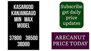 Arecanut commodity price today: 23 September 2024 High Demand Drives Market