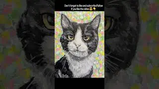 PetPortraitTimelapse #19~27