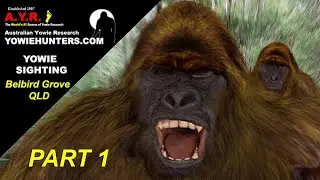 Yowie / Bigfoot Sighting (Audio Report #167) at Bellbird Grove, Queensland