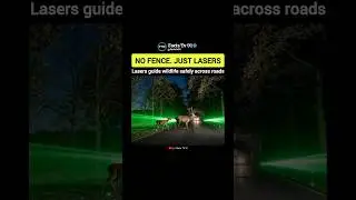 How Lasers Help Wildlife Cross Roads Safely 🦌⚡