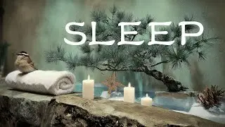 Candle Garden 🌸 | Soothing Music for Relaxation & Sleep #bird #relaxingmusic #sleepmusic
