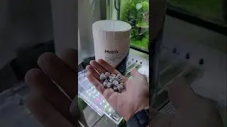 A Import&acirc;ncia das M&iacute;dias Biol&oacute;gicas - Conhece as M&iacute;dias Matrix da Seachem?