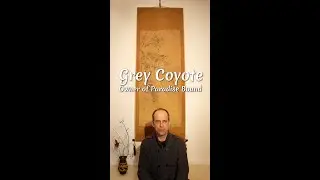 Create a Japanese space in your home! Japanese ikebana flower arrangement -hanging scroll. 日本の掛軸と生け花