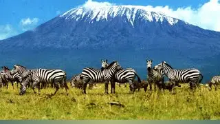 MAONYESHO YA NANE NJIRO MKOANI ARUSHA 8/8/2023 | BILA KIINGILIO KUINGIA GETINI NI BURE KABISA