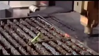 Praying mantis vs machine   #battle