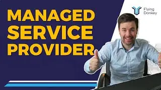 What is Managed Service Provider? | Flying Donkey