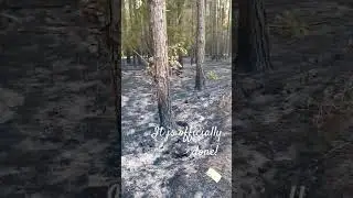 Underbrush burn pt.4 It's done! #countryliving #burning #clearing #spring2024