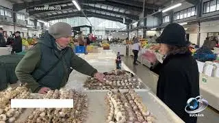 Audit la Primăria Suceava: plăți greșite de aproape 700.000 de lei pentru curățenia străzilor