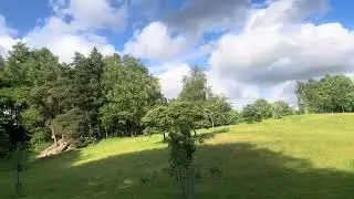 Exploring Tandle Hill Country Park | Best Walks, Views & Wildlife in Oldham