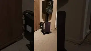 Elipson Prestige Facet 8B