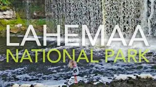Lahemaa National Park, Estonia