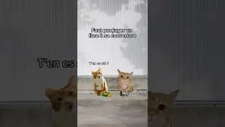 Faut pas juger un livre &agrave; sa couverture 🤣