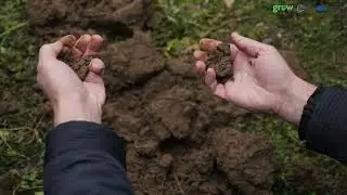 08   Soil as the Foundation of Farming   Cover Crops and Grazing in Hungary and Serbia