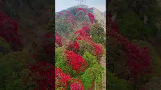 Nepal Tourism#VisitNepal #NepalTourism #BeautifulNepal #MountEverest #Pokhara #Lumbini
