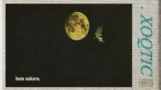 luna sakura.