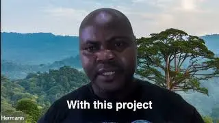Koko Brings Hope to the Cross River Gorillas