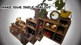NEW Shelf Shape UNLOCKED!