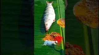 Rohu Fish Fry 🤤#shorts #food #fish #fishfry #trending #youtubeshorts #shortsfeed #short