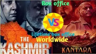 The Kashmir file 🆚 Kantara movie box office & Worldwide lifetime collection ,Kantara box office,
