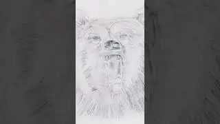 #save earth and animals don't kill animals#