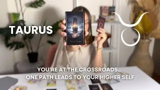 Taurus ♉ You&rsquo;re at the Crossroads&hellip; One Path Leads to Your Higher Self ✨ Zodiac Tarot Reading