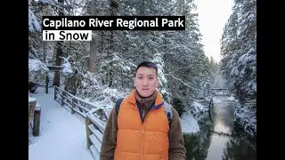 Cleveland Dam Capilano River Regional Park, North Vancouver in Snow