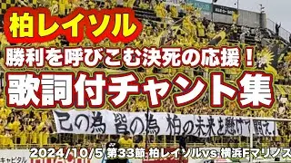 【柏レイソル】歌詞付きチャント集〜勝利を呼び込んだ柏サポーターの決死の応援〜