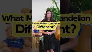 What Makes Landelion Different? #chinamarket#Localization#Landelion
