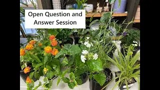 Open Question and Answer Session