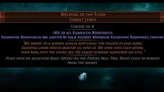 Melding of the Flesh [Path of Exile 3.17]