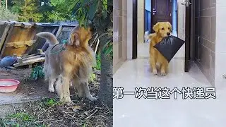 路虎：誰都不容易，秀優越感不如秀出善意❤️#話不多說先秀壹波