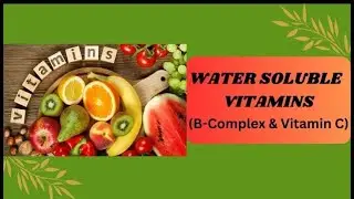 Recommended Daily Intake For Vitamins | Water Soluble Vitamins | Antioxidant Vitamins