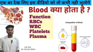 What is Blood ||Human Blood || RBCs || WBC || Platelets || Function || Plasma || #video