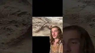 Польский вампир