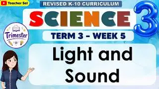 Science 3 Quarter 3 Week 8 Revised K-12 - Light and Sound
