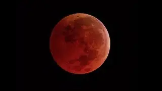 Super Blood Moon Wolf Eclipse