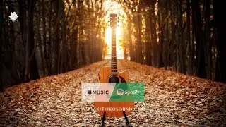 😌 Chill Afrobeat Guitar Instrumental Mix & Playlist 🎸