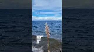 lago titicaca Escallani #bikeexplorer #lake #lagotiticaca #escallani #nature #sonidodellago #song