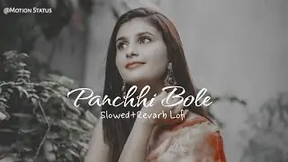 Panchhi Bole -(Slowed+Revarb Lofi) Panchhi Bole Lofi Song