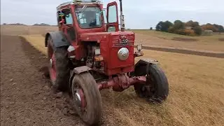 Оранка  Т-40АМ, плуг ПЛН-2-35.