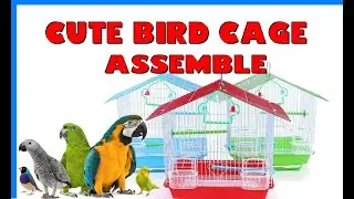 How to assemble small bird cage