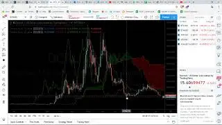 Altcoin of the Day: Decred (DCR) interesting level to take a long position