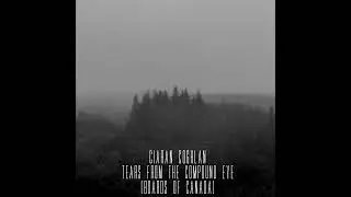 Ciaran Coghlan - Tears From The Compound Eye (Boards of Canada) Post-metal cover