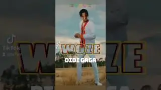 DIDI GAGA - WOZE #ta7em #edit #songin59sec #habeshamusic #ethiopianmusic #eritreanmusic #fyp #shorts